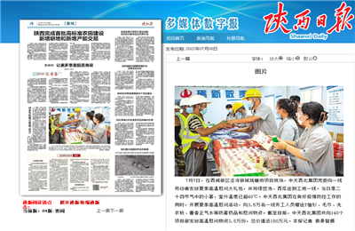AG公司西北集团珑樾府项目高温慰问——《陕西日报》
